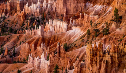Bryce Canyon Hoodoos 
