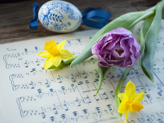 Sehr alte, handgeschriebene Musiknoten mit bemaltem Osterei, lila Tulpe und Narzissen, Narcissus pseudonarcissus, Frühling, Ostern  - 135208665