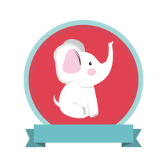 baby card cute frame vector illustration design