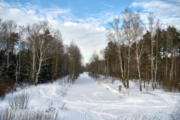 Intersection of ski tracks on the frozen river covered with snow in the winter forest.