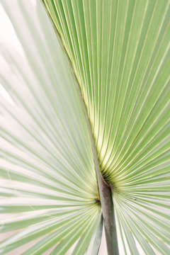 http://www.sunglowphotography.com