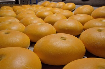 .Bread. Bakery. Bakery plant. Production of bread. Fresh white bread from the oven