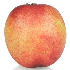 isolated tasty nectarines