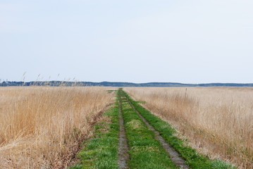 Fototapeta na wymiar Path through the fields