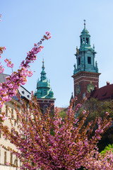 Towers of the Cathedral of Wawel.