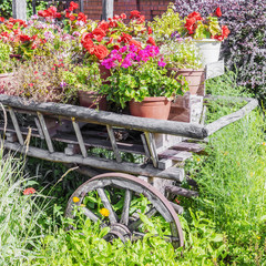 Fototapeta na wymiar old cart decorated with flowers in the garden