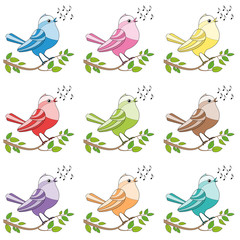 Songbirds - nine colorful twittering and chirping and singing birds.