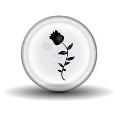 The rose inside the crystal ball, icon