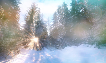 fairy winter landscape