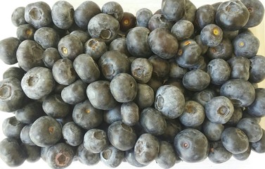 Blueberries background, closeup