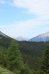 Typical landscape in southern Germany, with towering peaks and verdant valleys.