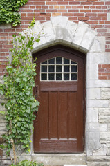 Fototapeta na wymiar Old wooden door with ivy