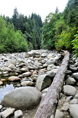 rivi&egrave;re de rocher au nord de Vancouver