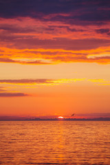 Amazing gold orange sky and water of Baltic sea at sunset