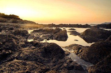 Fototapeta premium A small moment of Beauty