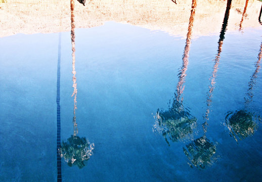 Palm trees reflected in water, Palm Springs, California, USA