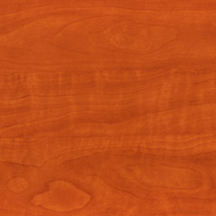 Naklejka premium Texture wood. High detailed this image