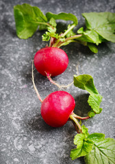Fresh radishes on stone background