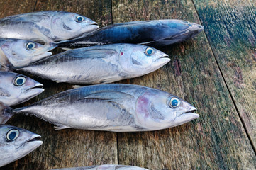 Fish tuna on a wooden background