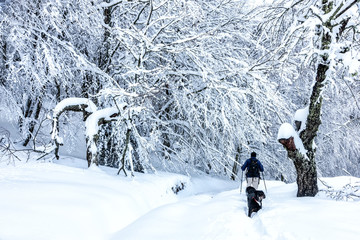  unknown man party with his dog walking in a snowy landscape in