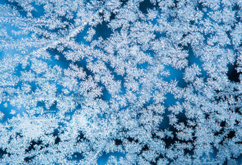 Obraz premium The patterns made by the frost on the window