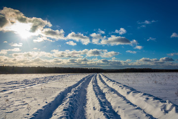 Fototapeta na wymiar Winter landscape in the backlight.
