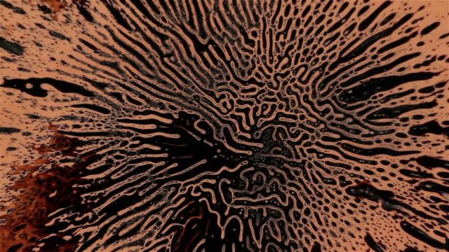 Fantastic patterns and shapes. Ferrofluid and paint. Close-up.