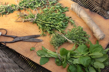 Frische Kräuter aus den Garten