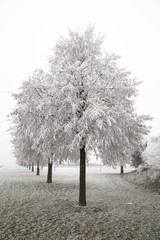 Winterlandschaft