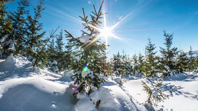 Motion controlled time-lapse of a winter panorama in the polish mountains.