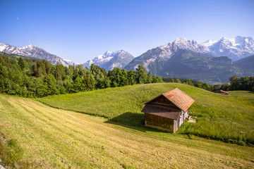 Idyllic landscape in the Alps