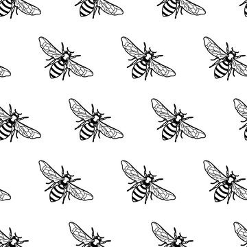 Vector seamless black and white pattern with linear bee. Organic honey background. Concept for honey package design, label, wrapping, fashion prints.
