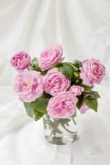 Delicate pink roses. DogRose Pink Rosa Canina Flowers.Valentine
