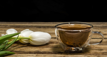 tulips and tea Cup