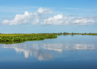 Endless water world in Los Llanos - El Cedral, Venezuela, South America