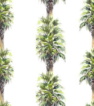Seamless pattern vertical rows of green tropical palm trees painted in watercolor on white isolated background © tina bits