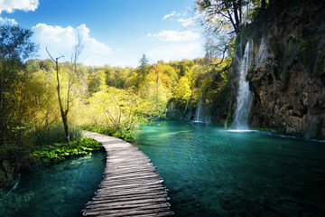 Fototapeta premium Siklawa w lesie, Plitvice, Chorwacja