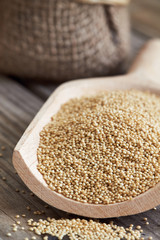 Amaranth grain in wooden scoop on rustic background