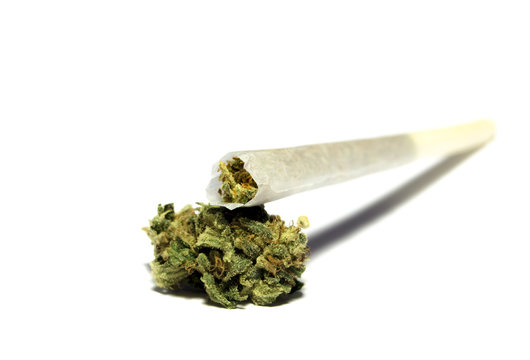 Medical marihuana bud with rolled joint on white background