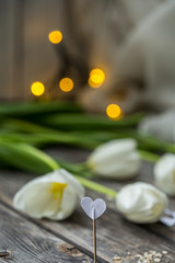 white tulips with a heart