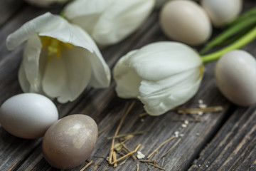 Easter eggs and white tulips