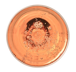 glass of pink champagne