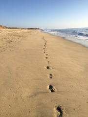 footsteps