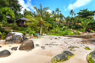 Hotel huts in the greenery, among palm trees on the sandy beach.