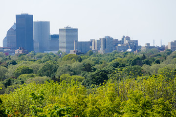 Fototapeta premium Green trees in spring spread out in front of the Rochester, New York skyline in afternoon light