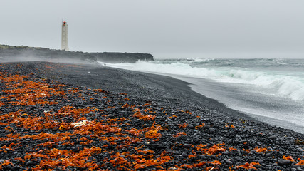Stormy Day