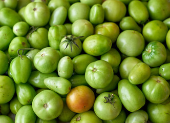 Raw green tomatoes 