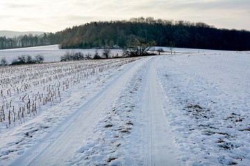 Fototapeta na wymiar Verschneiter Feldweg mit Stoppelfeld links , Acker rechts und Wald vorne am frühen morgen