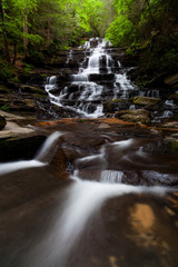 Fototapeta premium Colors of Spring