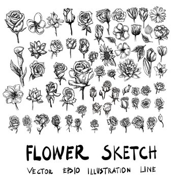 Set of flower doodle sketch eps10